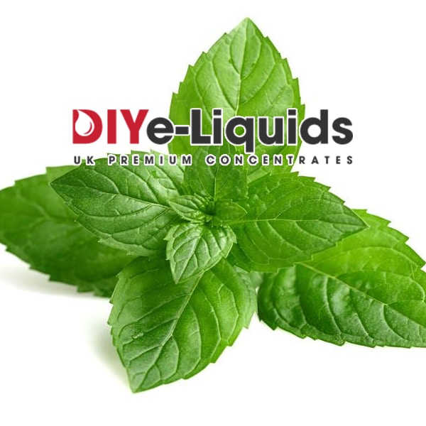 Ice Mint E Liquid Concentrate
