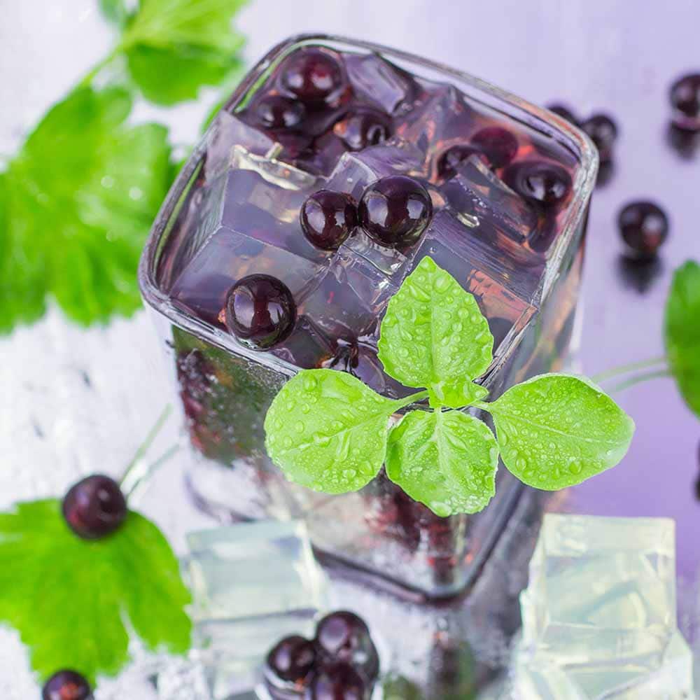 Blackcurrant Lemonade Concentrate